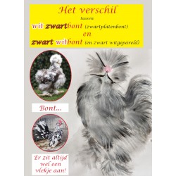 Het Verschil witzwart en...
