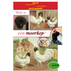 SPECIAL - Wat is een moorkop
