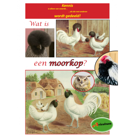 SPECIAL - Wat is een moorkop