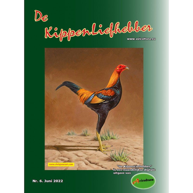 De Kippenliefhebber 2022-6