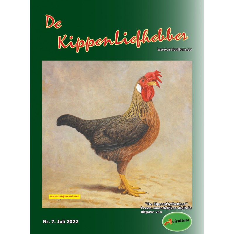 De Kippenliefhebber 2022-7