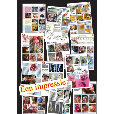 Gezond leven Thuisartsnl