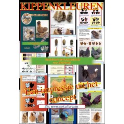Kippenkleuren