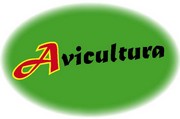 Avicultura.eu